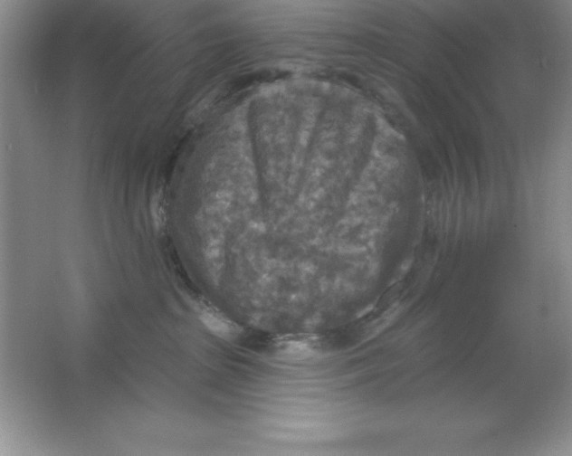 X0000063510285200602101933