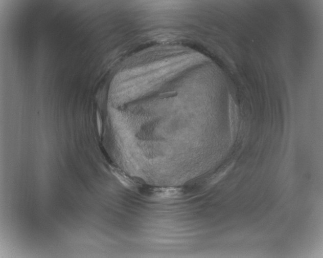 X0000063510288200602101933