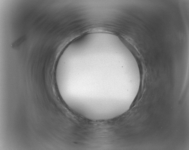 X0000063510289200602101933