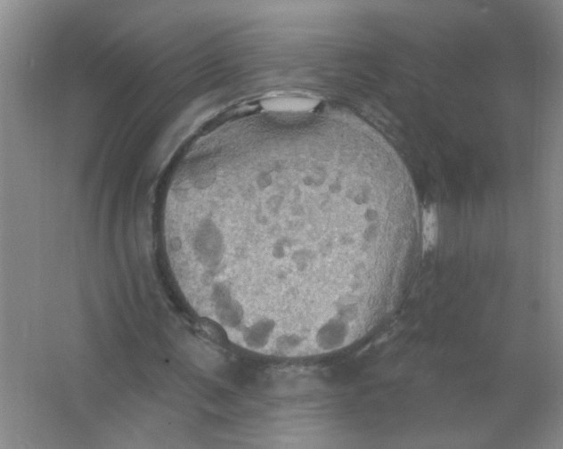 X0000063510291200602101933