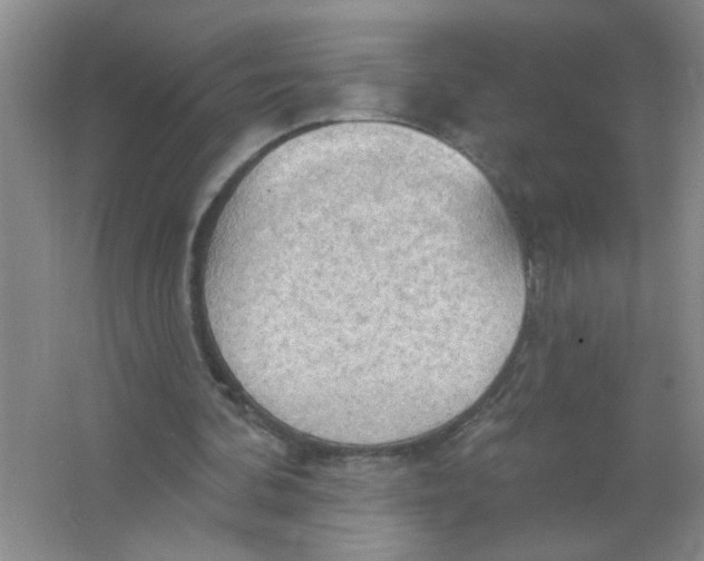 X0000063510292200602101933