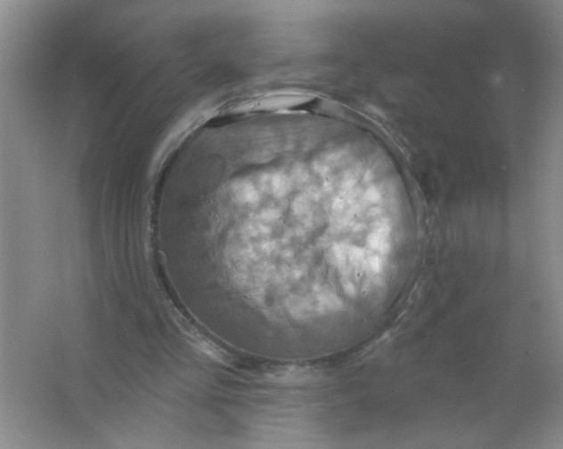 X0000063510293200602101933