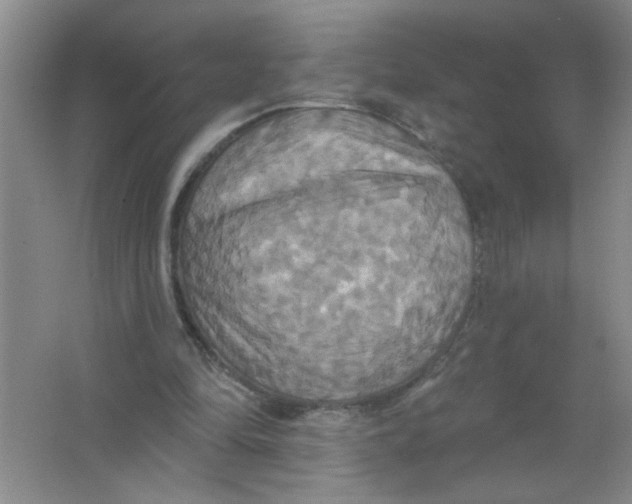 X0000063510294200602101933