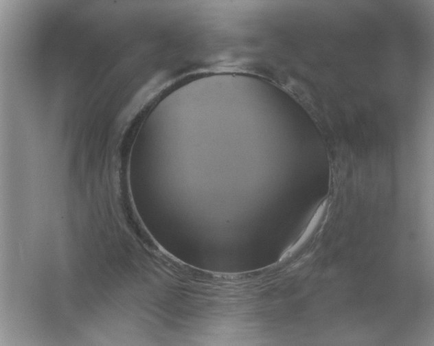 X0000063510295200602101932