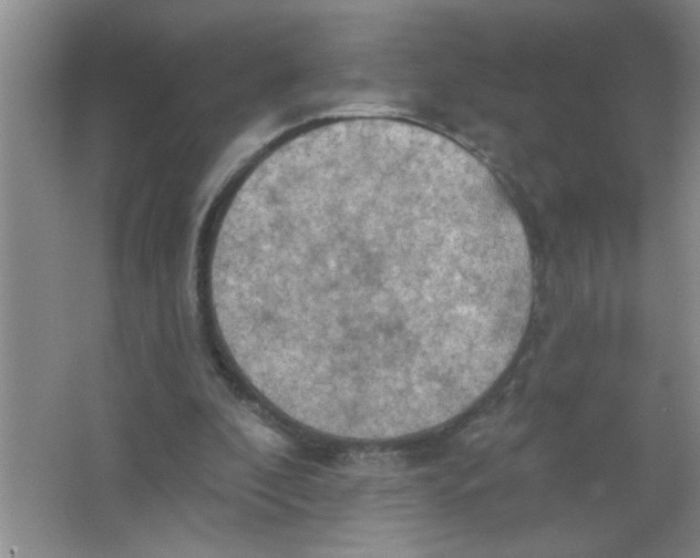 X0000063510296200602101932