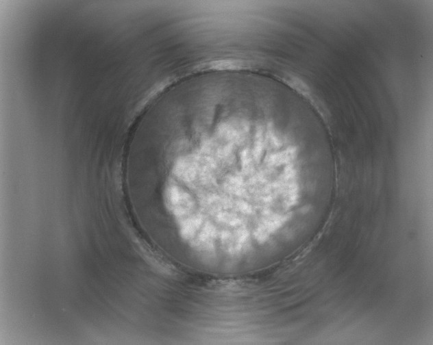 X0000063510297200602101932