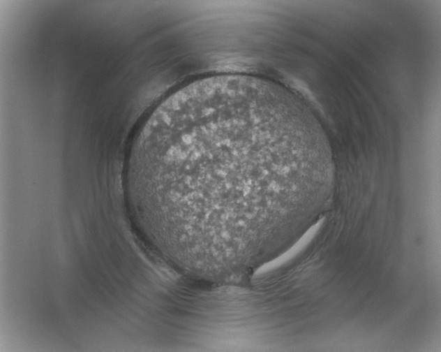 X0000063510299200602101932