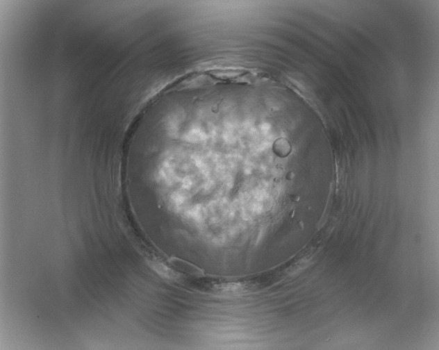 X0000063510301200602101932