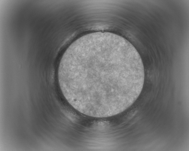 X0000063510304200602101932