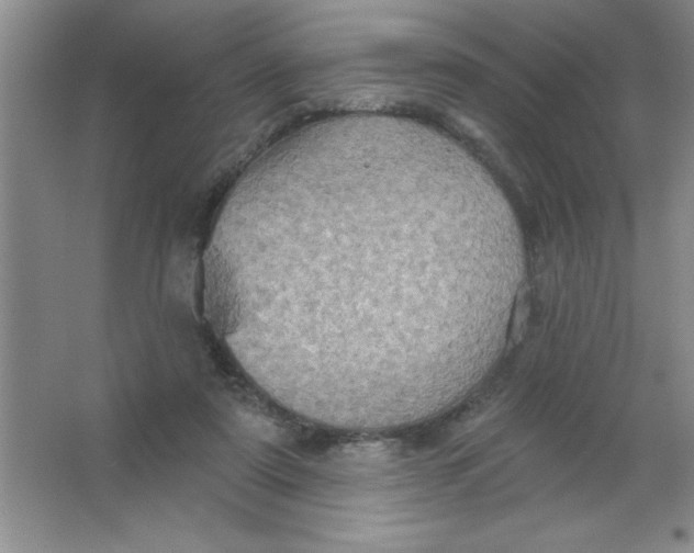 X0000063510307200602101932