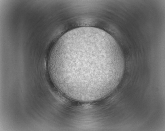 X0000063510310200602101932