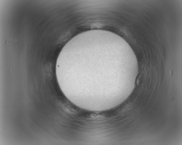 X0000063510311200602101932