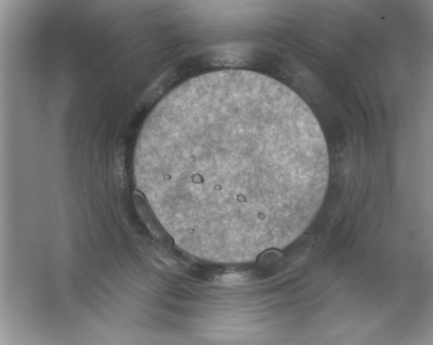 X0000063510312200602101932