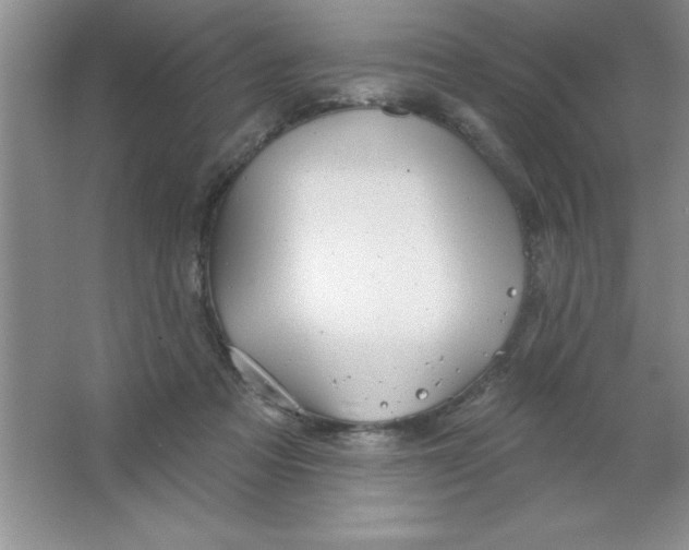 X0000063510313200602101932