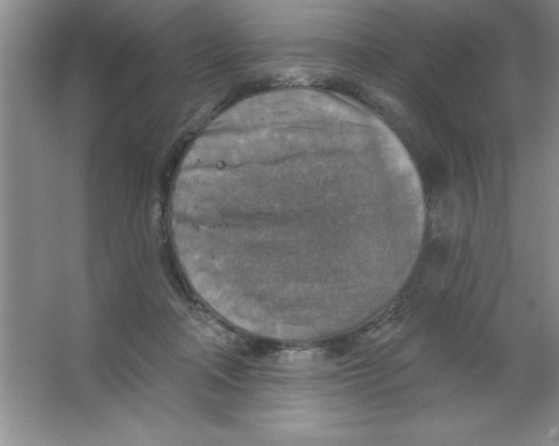 X0000063510314200602101932