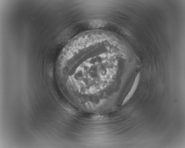 X0000063510315200602101932