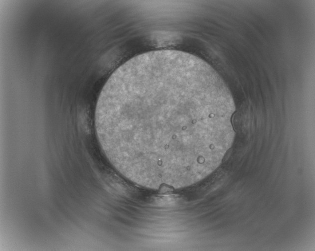 X0000063510316200602101932