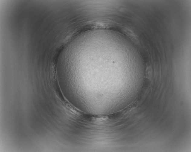 X0000063510318200602101932