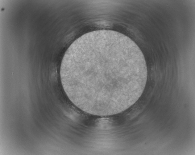 X0000063510320200602101932