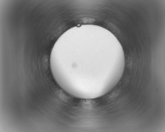 X0000063510321200602101932