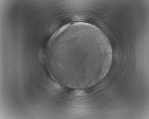 X0000063510322200602101932