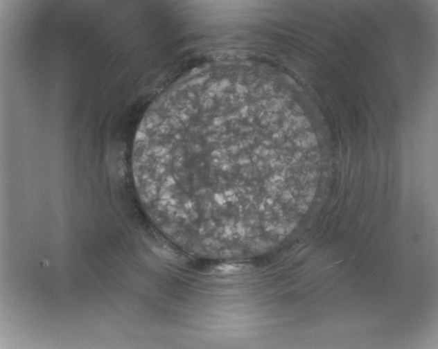 X0000063510323200602101932