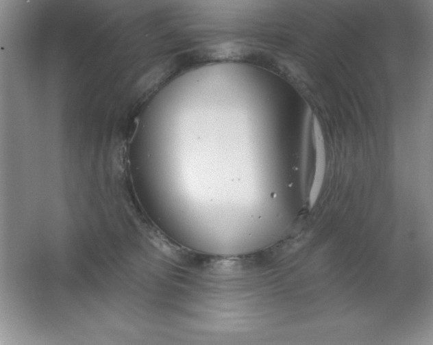 X0000063510325200602101932