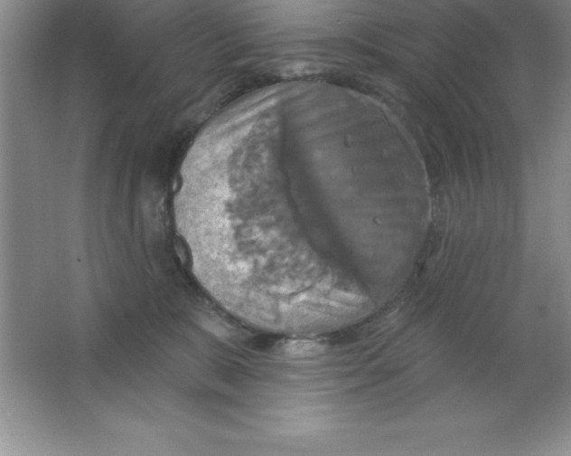 X0000063510327200602101932