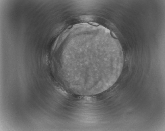 X0000063510330200602101932