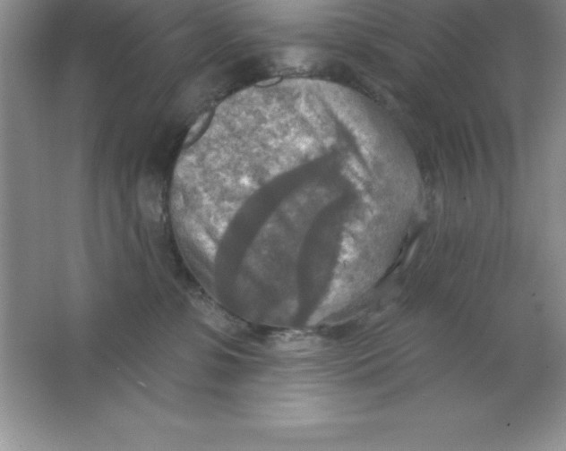 X0000063510331200602101932