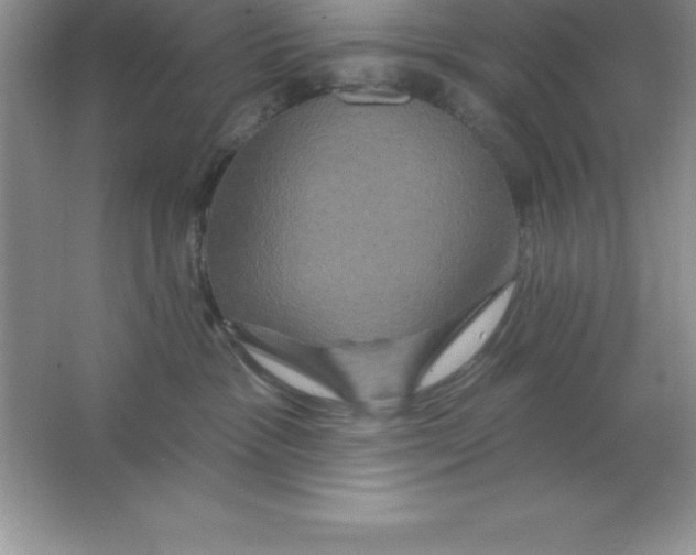 X0000063510333200602101932