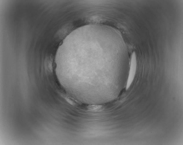 X0000063510334200602101932