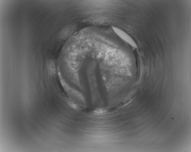 X0000063510335200602101932