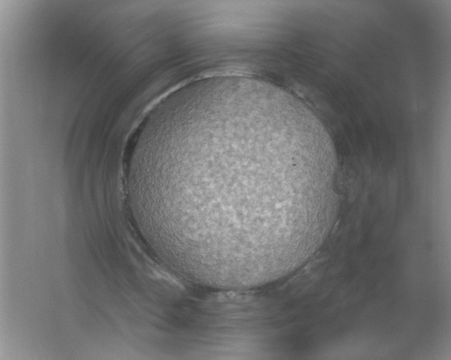 X0000063510338200602101931