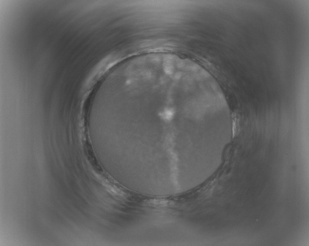 X0000063510339200602101931