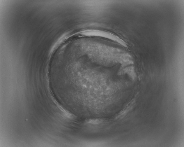 X0000063510341200602101931