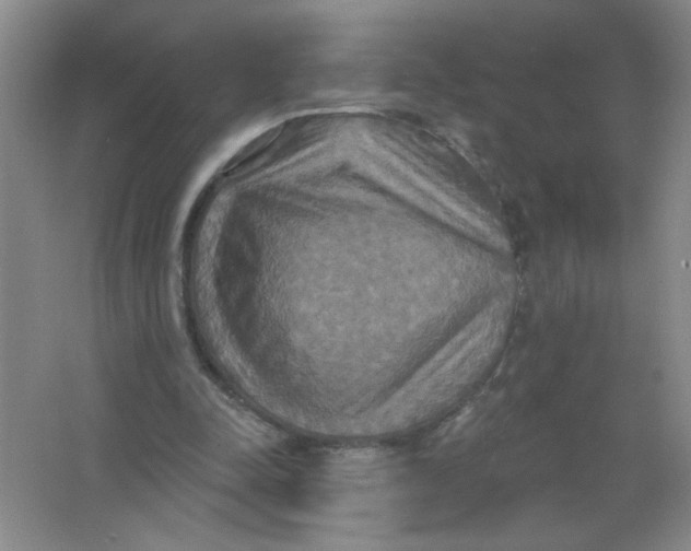 X0000063510342200602101931