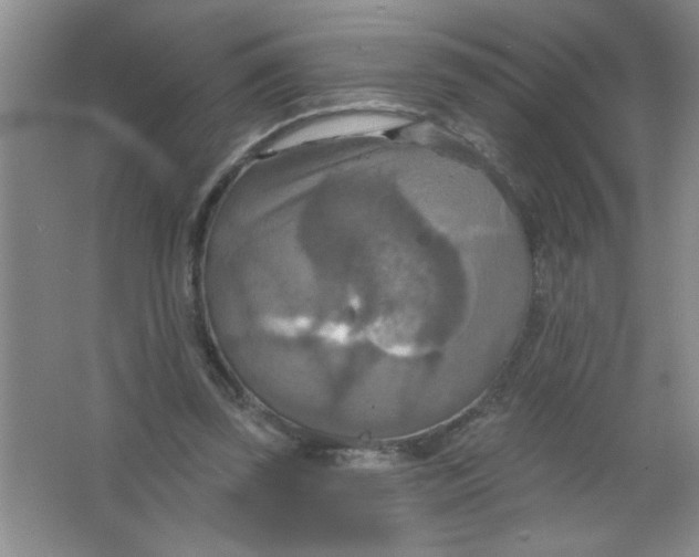 X0000063510347200602101931