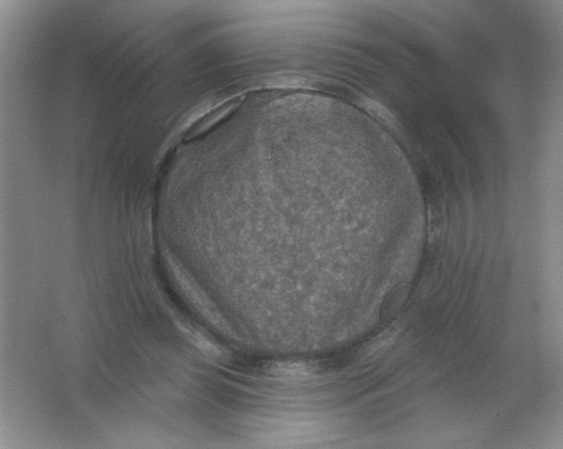 X0000063510349200602101931