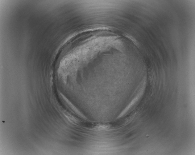 X0000063510350200602101931