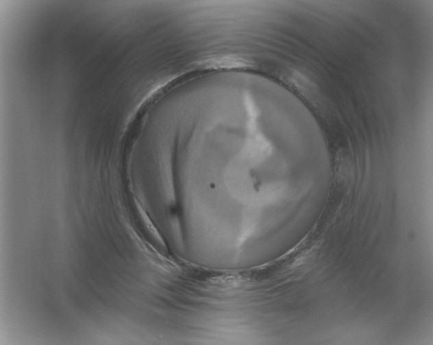 X0000063510351200602101931