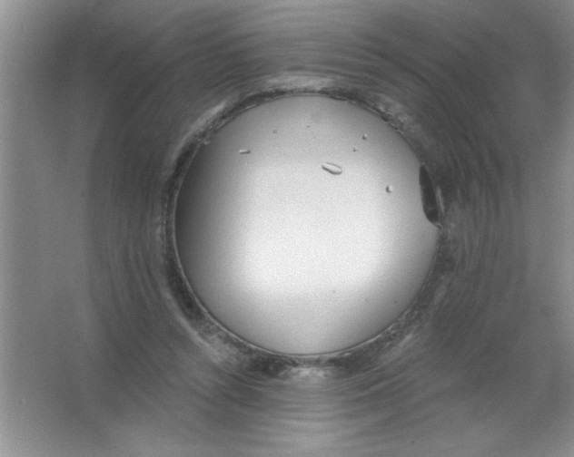 X0000063510352200602101931