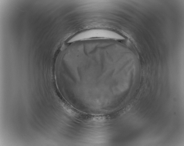 X0000063510353200602101931