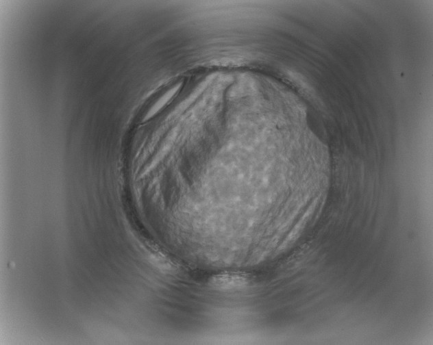 X0000063510354200602101931