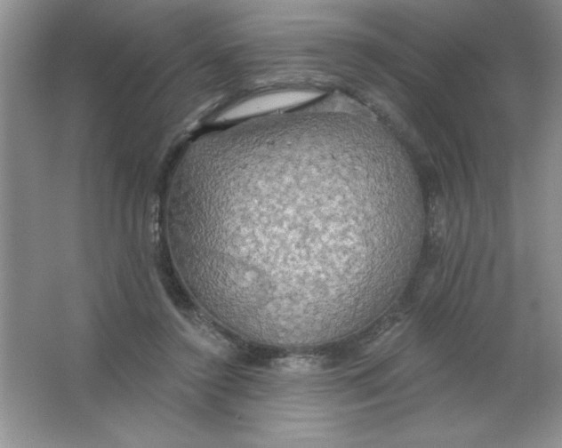 X0000063510356200602101931