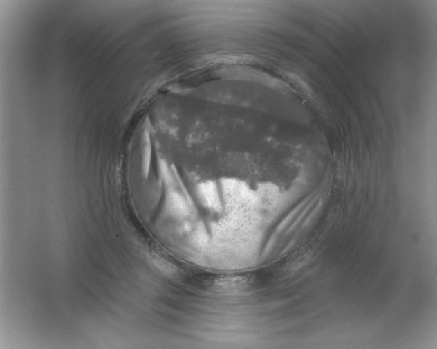 X0000063510357200602101931