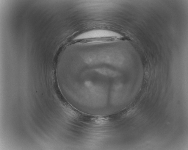 X0000063510359200602101931