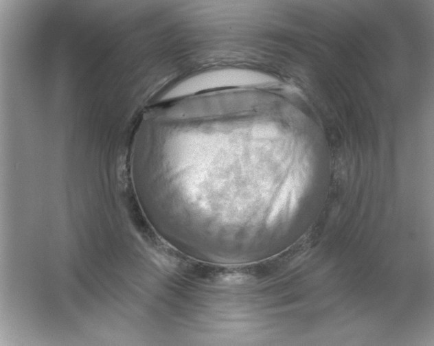 X0000063510360200602101931