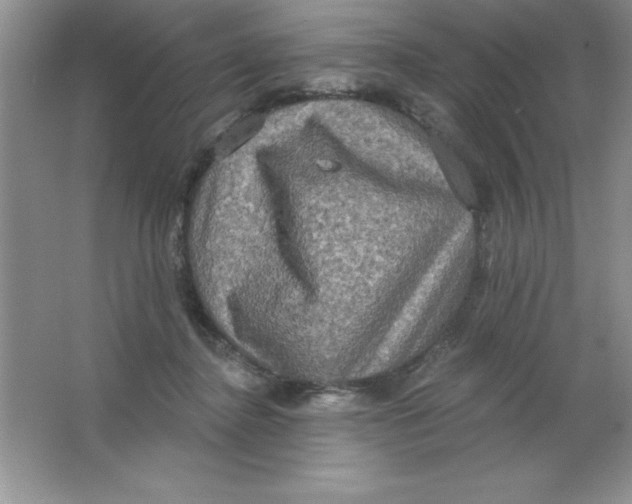 X0000063510364200602101931