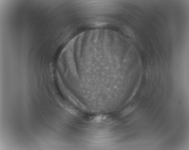 X0000063510366200602101931